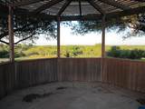 13534 Hwy 281 - Photo 30