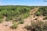 Tbd County Road - Photo 4