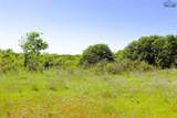 40 Acres Sears Mayfield Lane - Photo 11