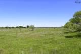 40 Acres Sears Mayfield Lane - Photo 12