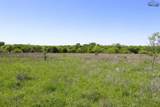 40 Acres Sears Mayfield Lane - Photo 13