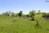40 Acres Sears Mayfield Lane - Photo 15