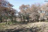 40 Acres Sears Mayfield Lane - Photo 16