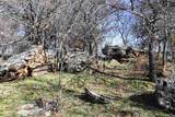 40 Acres Sears Mayfield Lane - Photo 17