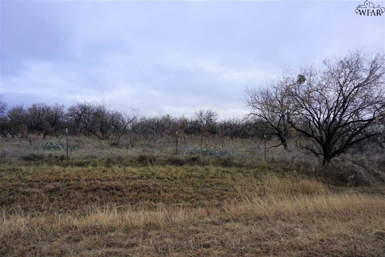 0 Saratoga Trail - Photo 1