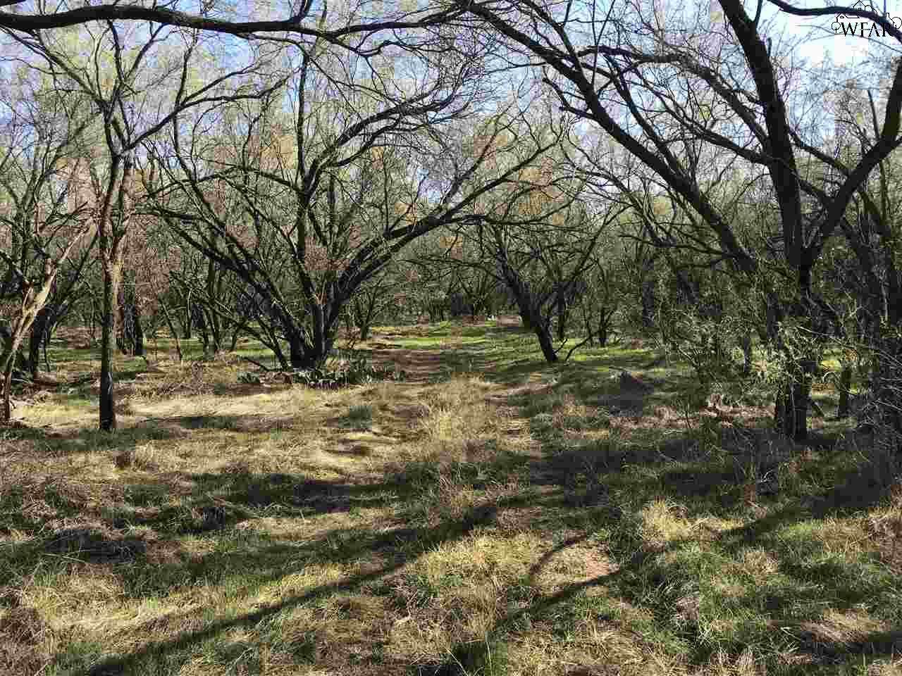 TBD Quail Run - Photo 1