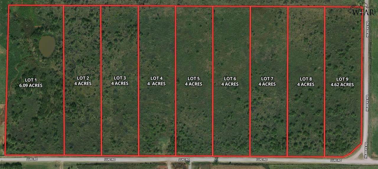 Luig Rd Lot #8 Tbd - Photo 1