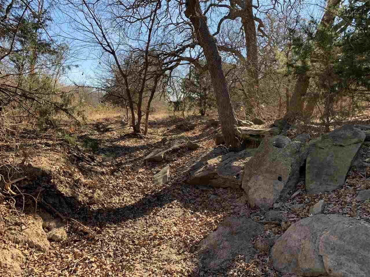 Tract 1 Fm 1816 - Photo 1