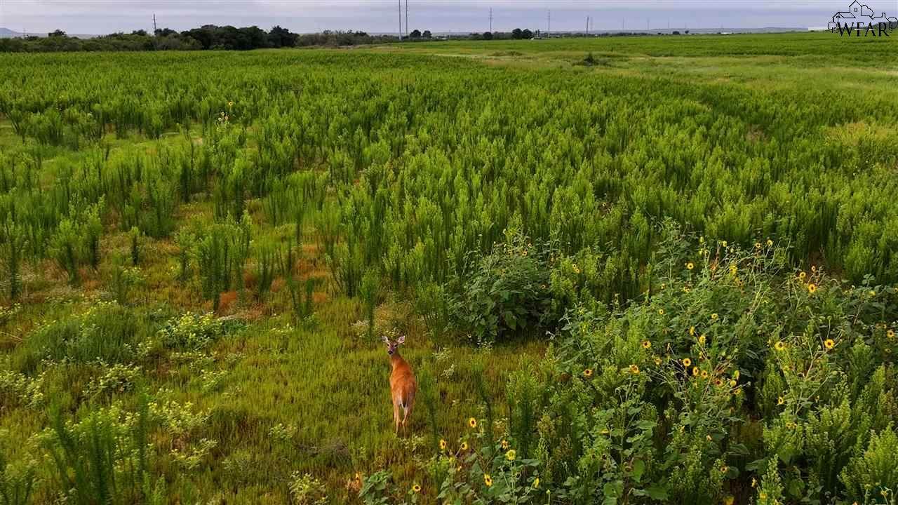 TBD Hwy 287 - Photo 1