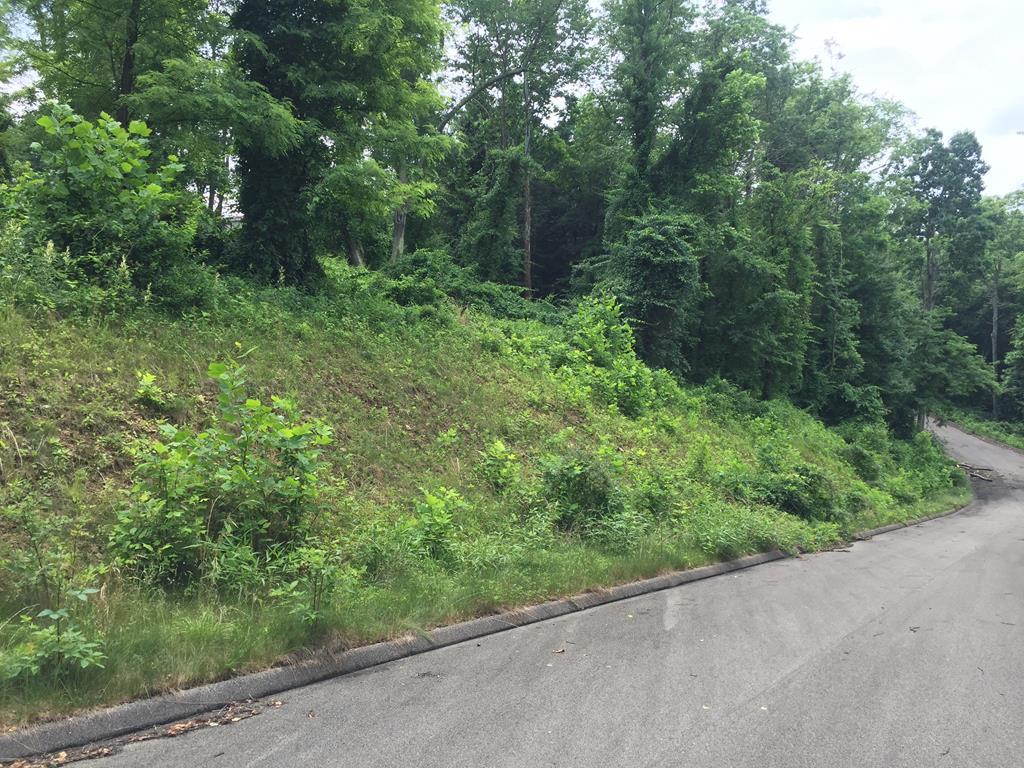 tbd Daisy Fields Lot 6 - Photo 1