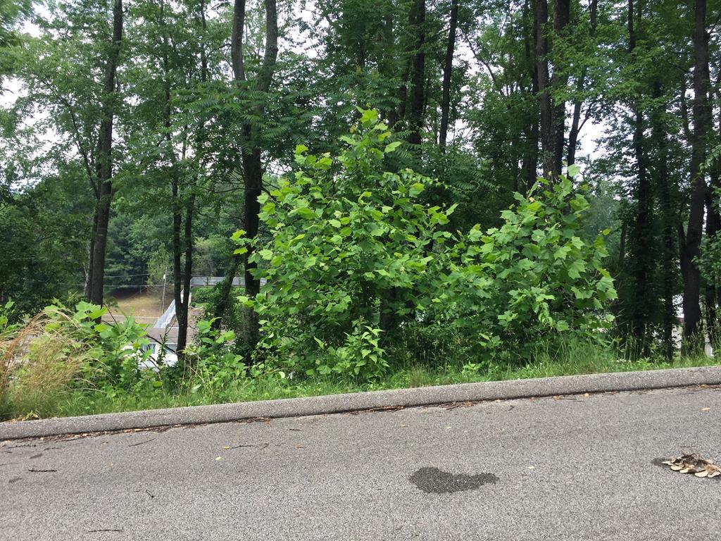 tbd Daisy Fields Lot 4 - Photo 1