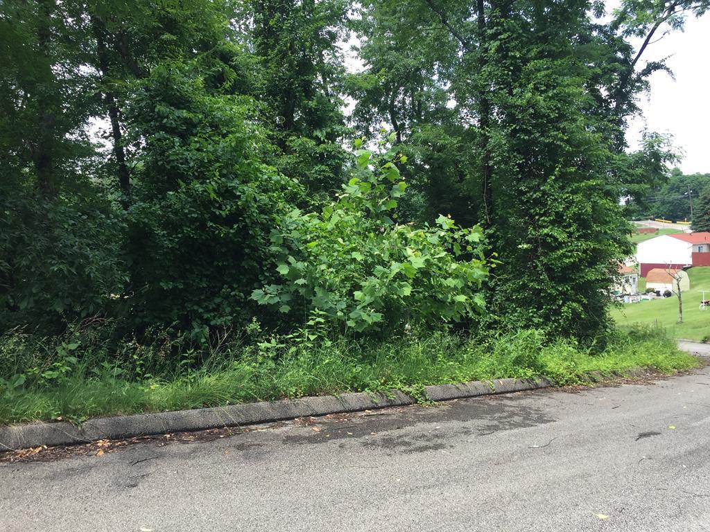 tbd Daisy Fields Lot 9 - Photo 1