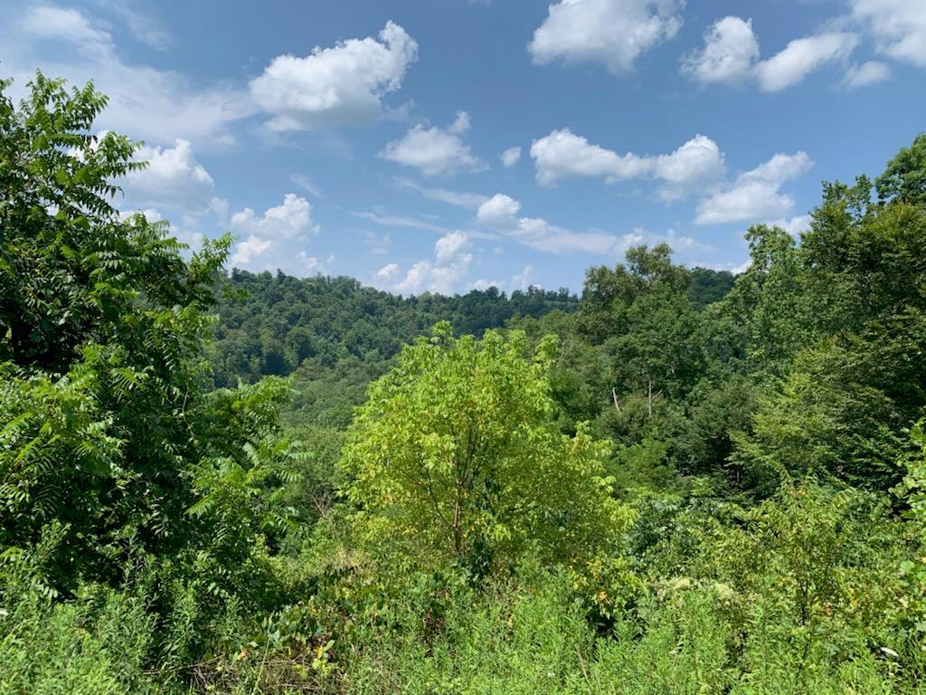 X Long Ridge Rd. - Photo 1