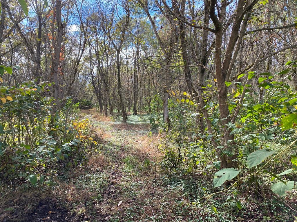 TBD 12th Street - Photo 1