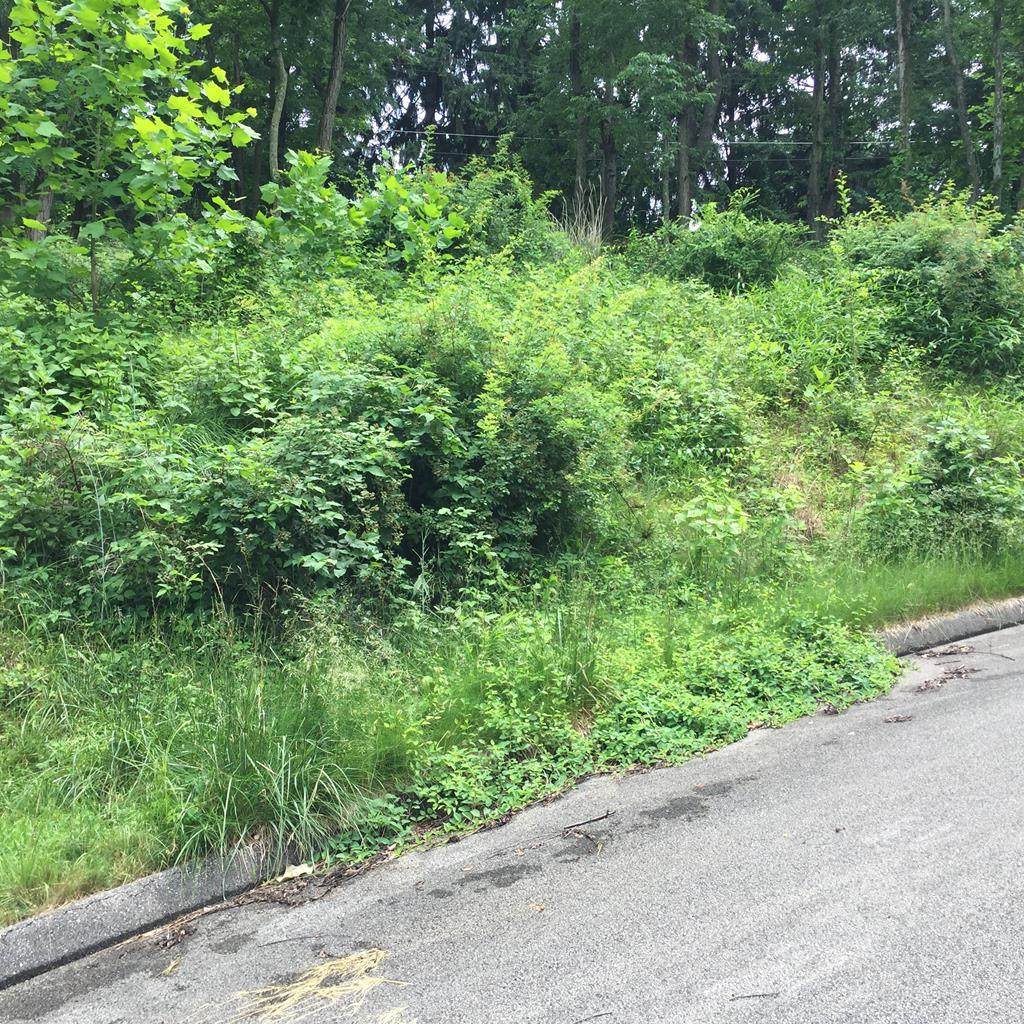 tbd Daisy Field Lot 6 - Photo 1