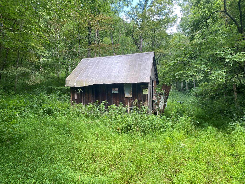 1623 Dogwood Lane - Photo 1