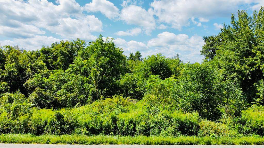 LOT 3 Tbd Northview Rd - Photo 1