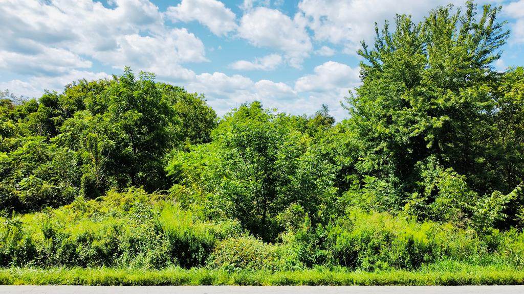 LOT 4 Tbd Northview Rd - Photo 1
