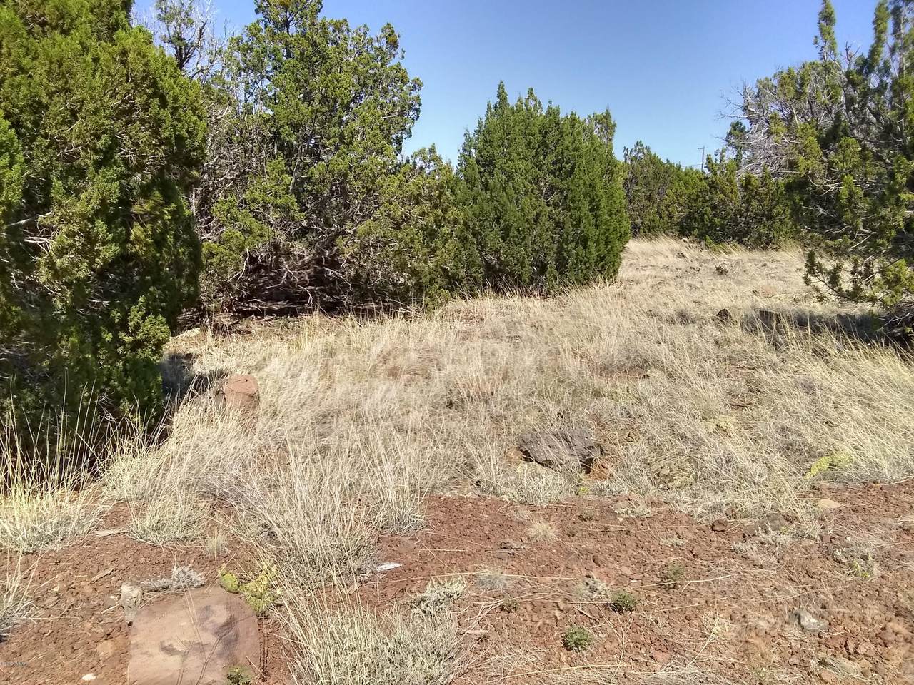 8576 Silver Creek Drive - Photo 1