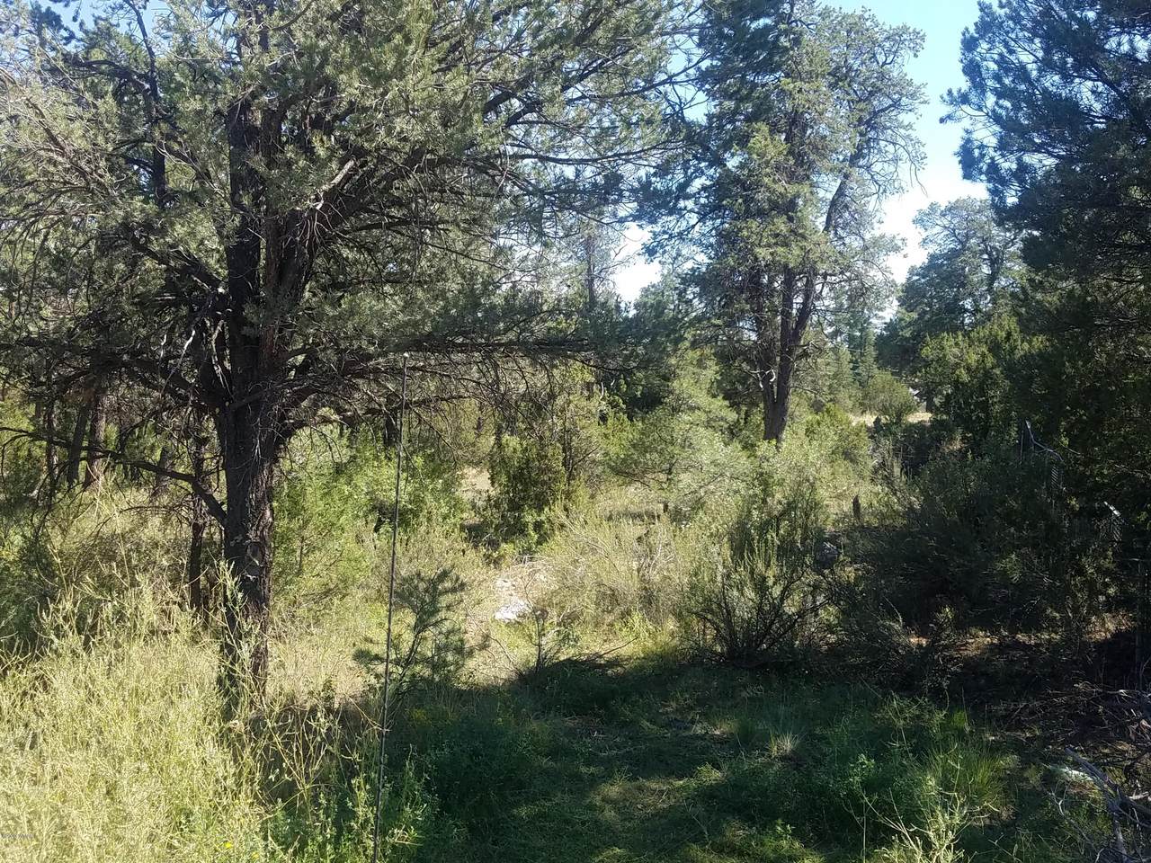 3125 Ranch Road - Photo 1
