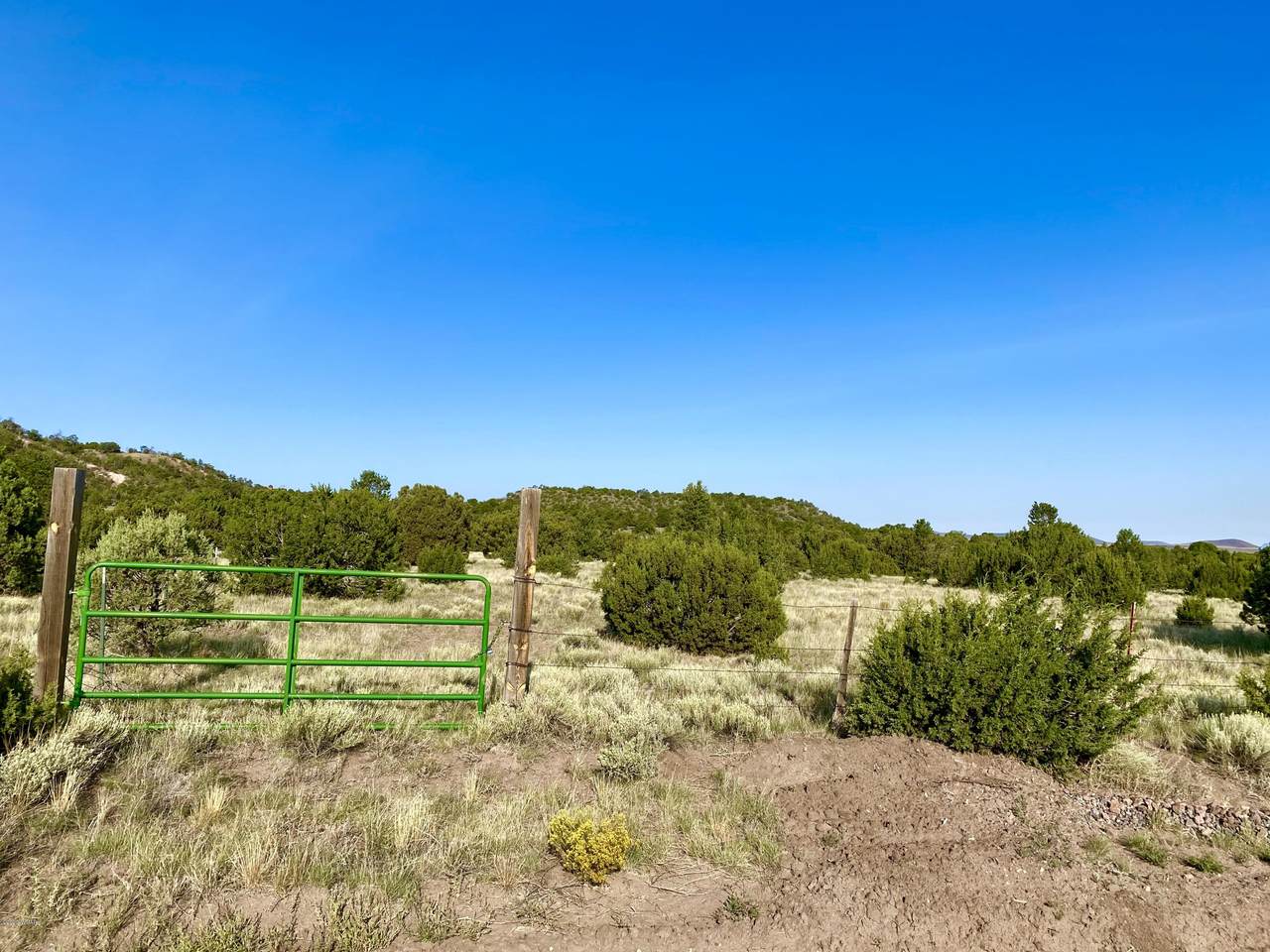 00 23.71 ACRES TBD SPANISH TRL - Photo 1