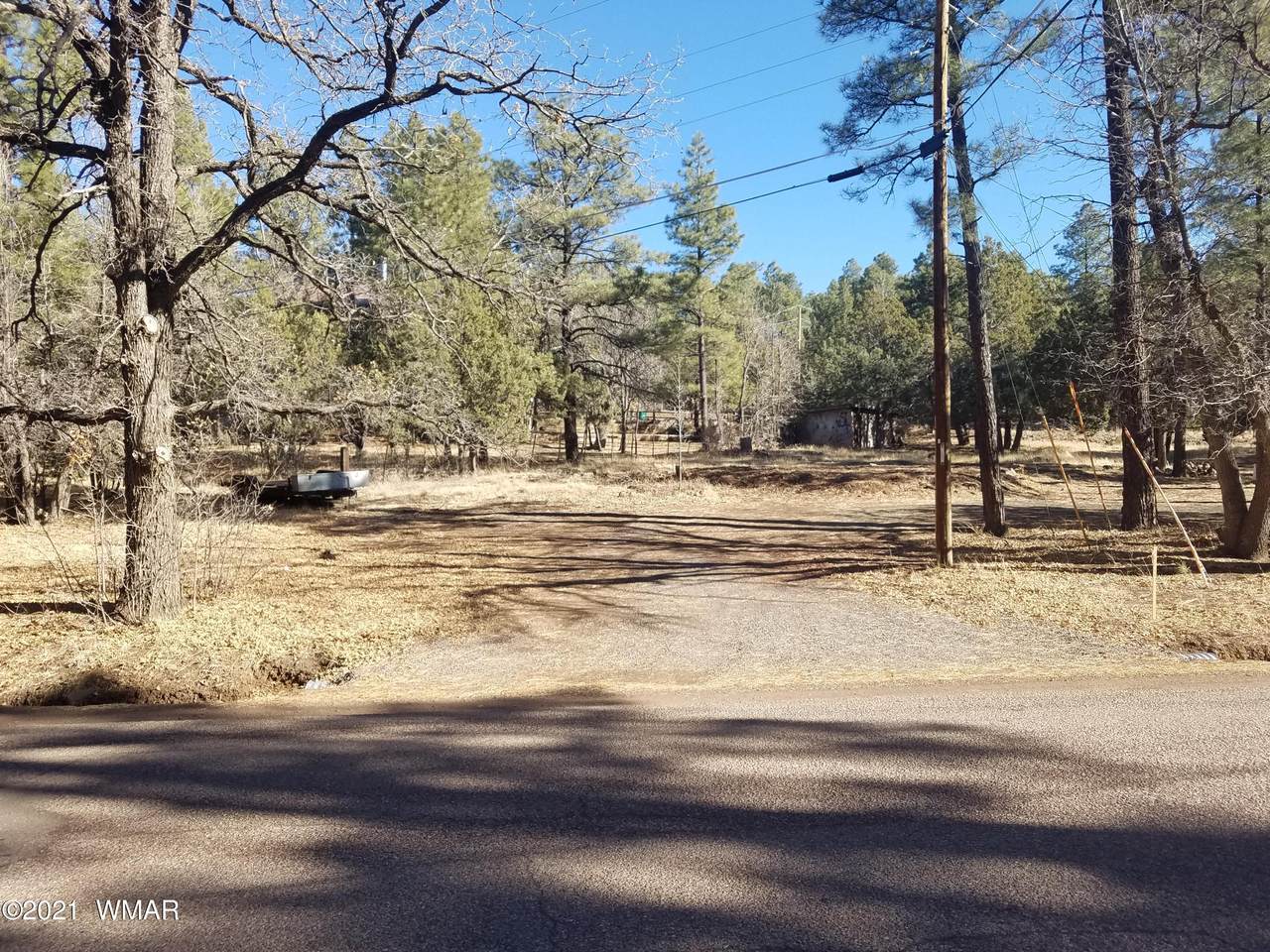 142 Pine Shadow Drive - Photo 1