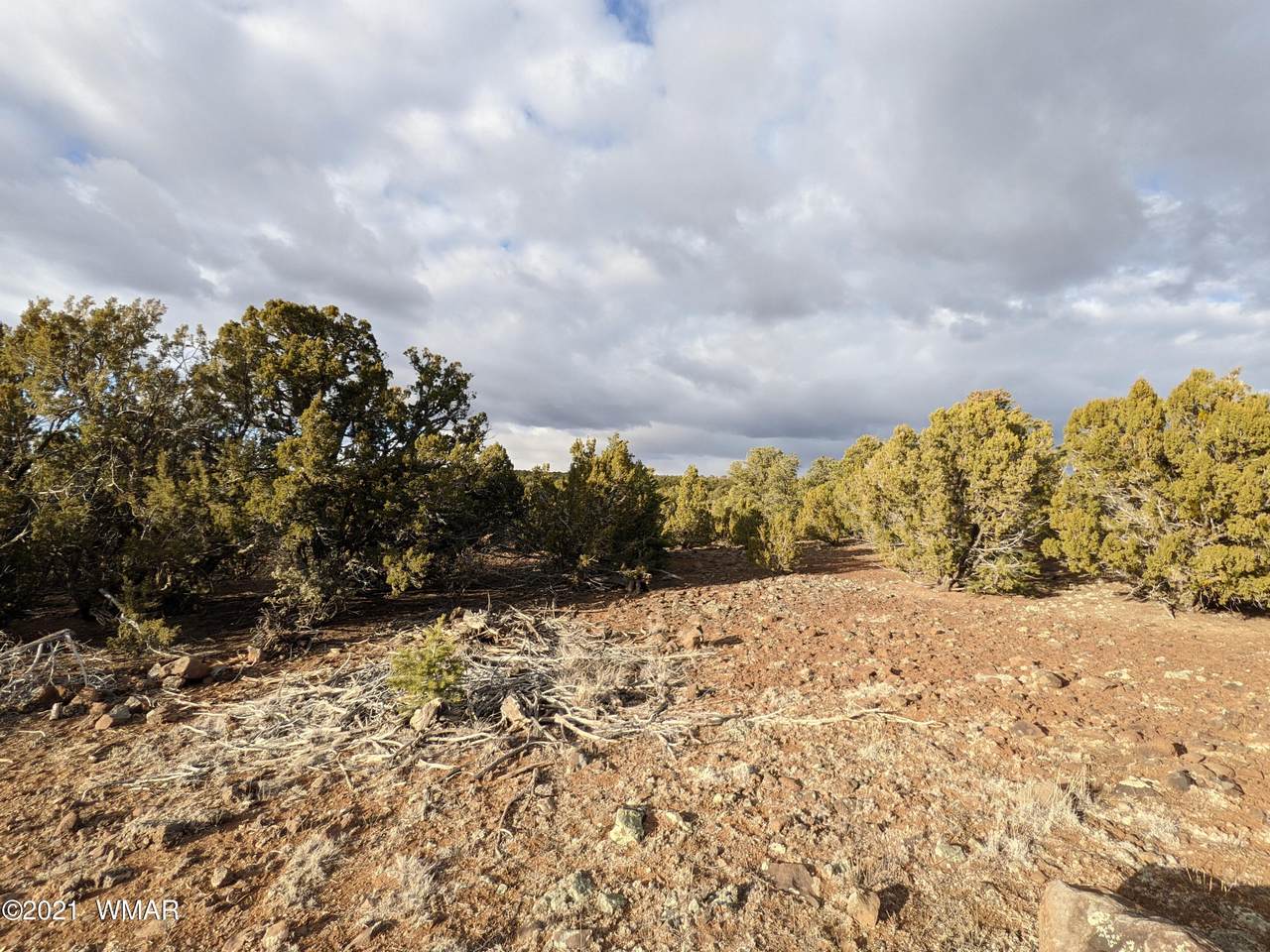 TBD County Road 3048 Road - Photo 1