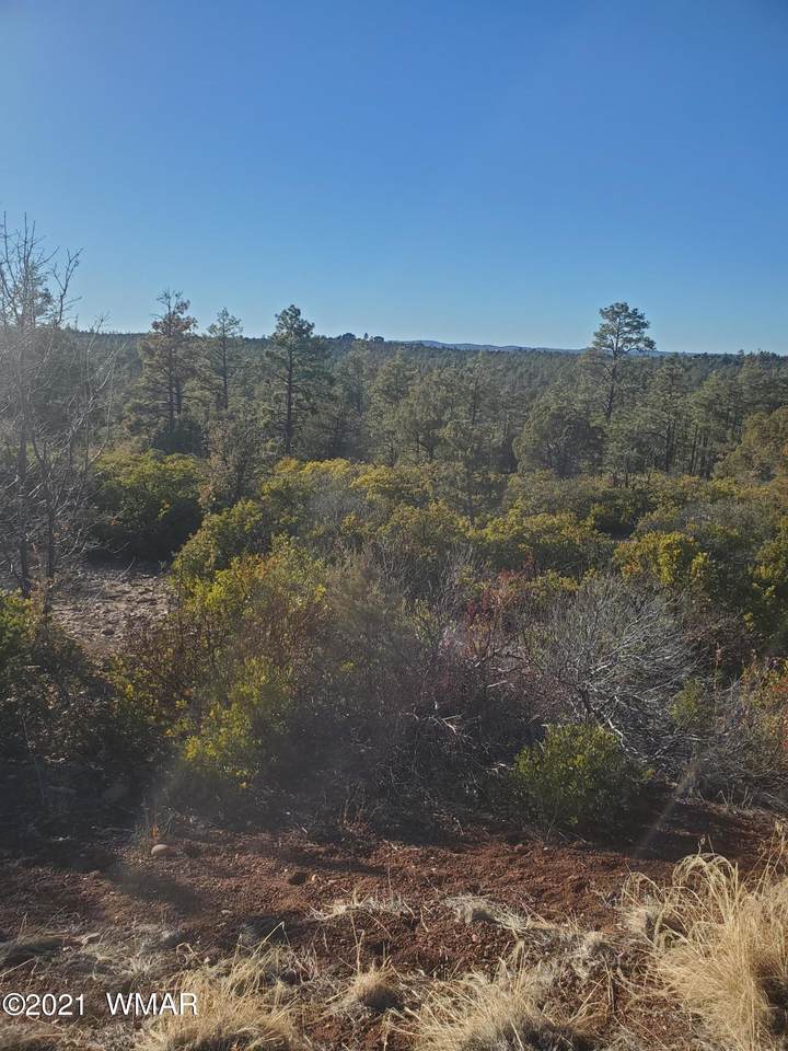 1930 Twin Peak Trail - Photo 1