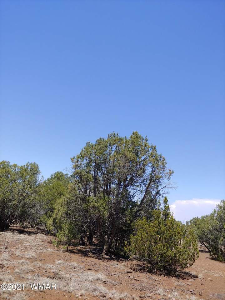 TBD Lake Land Rd - Photo 1