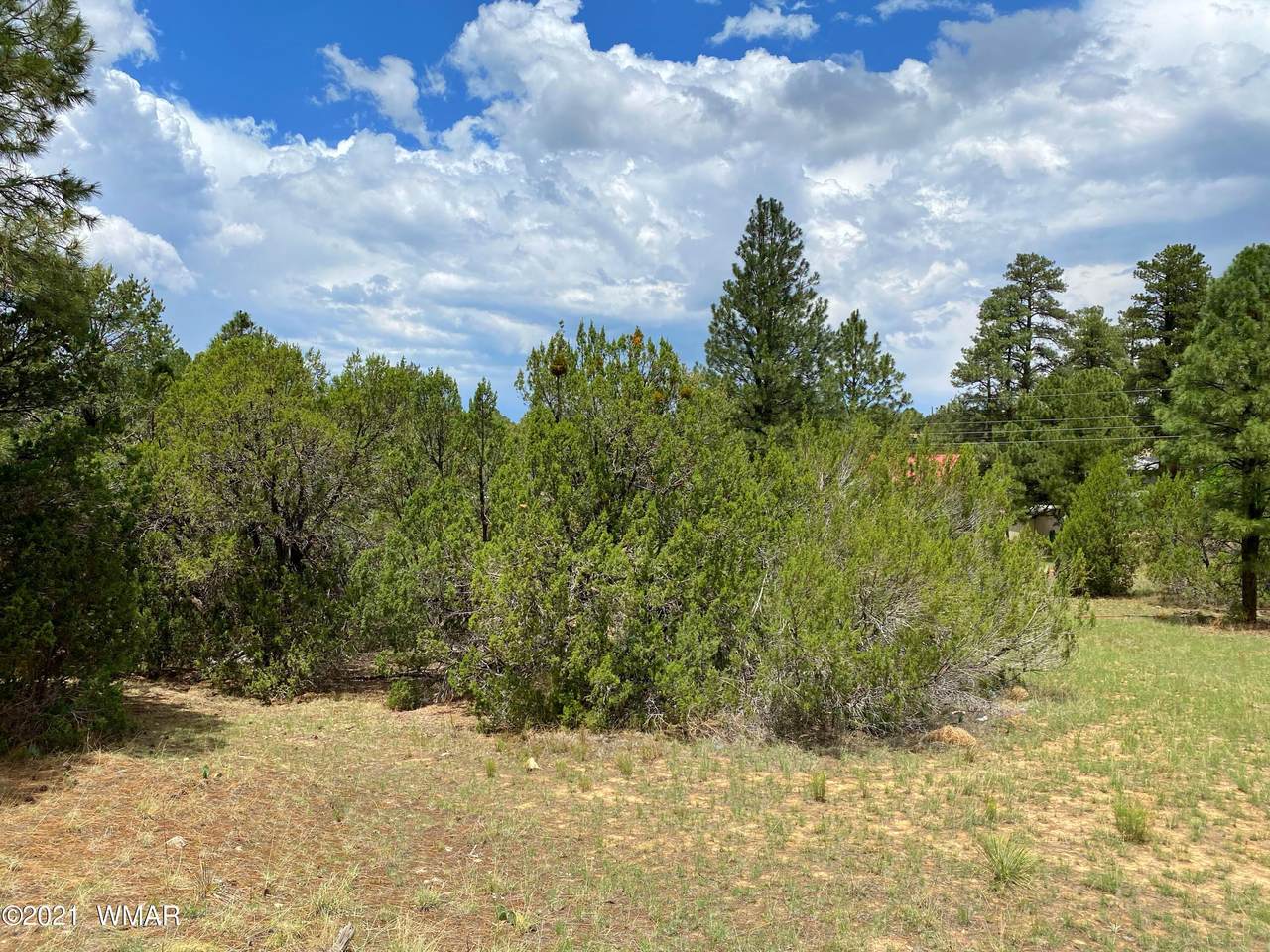 2030 State Road 277 Highway - Photo 1