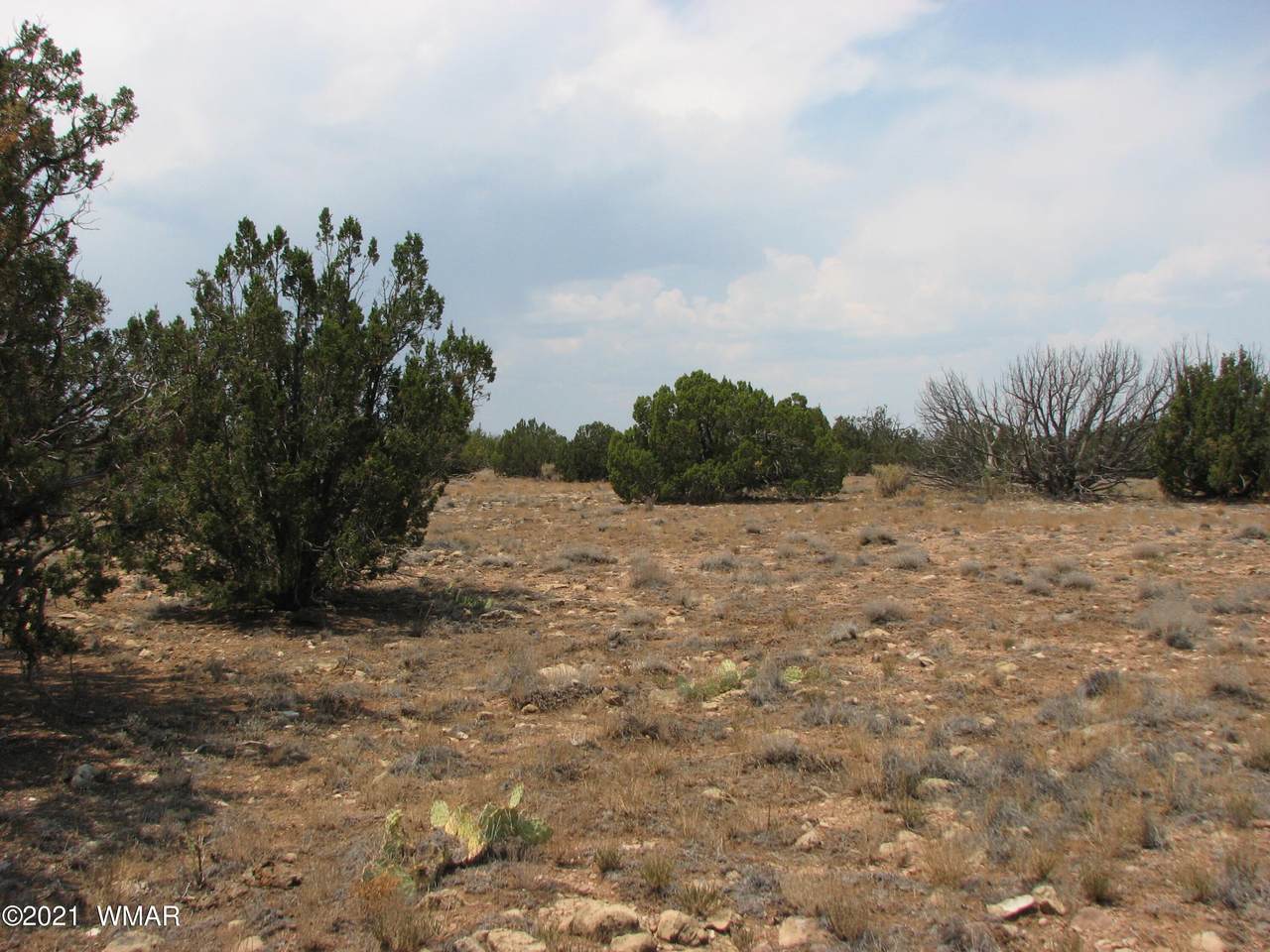 Sec 17 Chevelon Retreat, T14, R17e - Photo 1