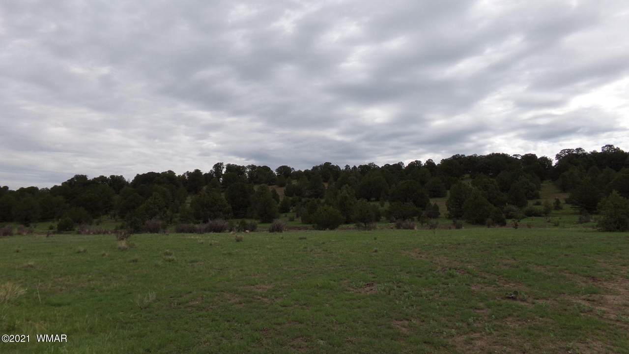 TRACT A-MM 414 Hwy 180 - Photo 1