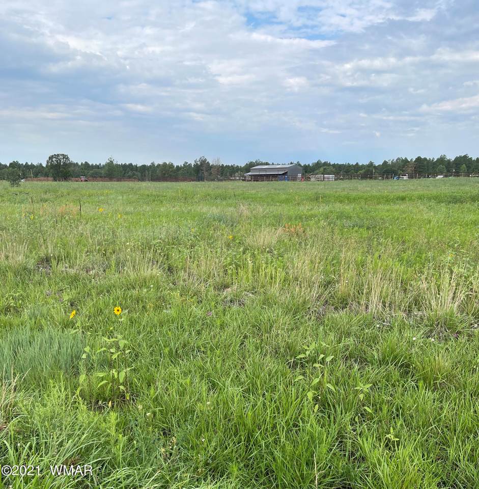 504 Woodland Road - Photo 1