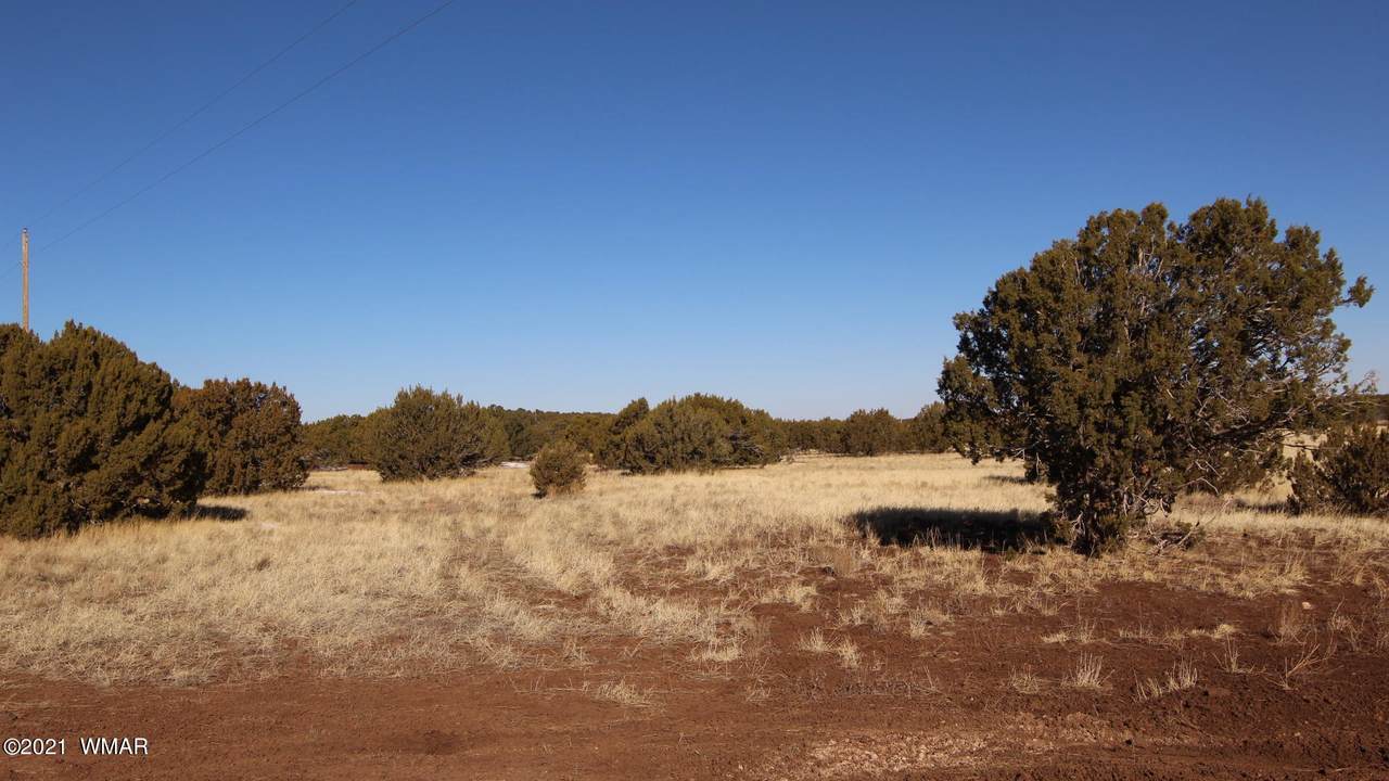 TBD Stanford Dr Parcel D - Photo 1
