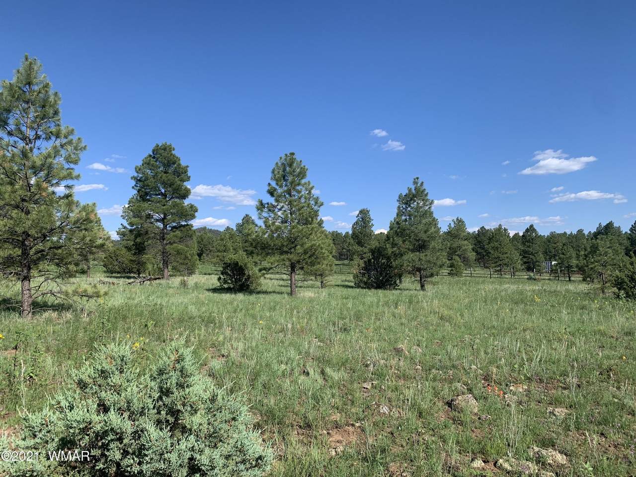 9367 Mountain Meadow Lane - Photo 1