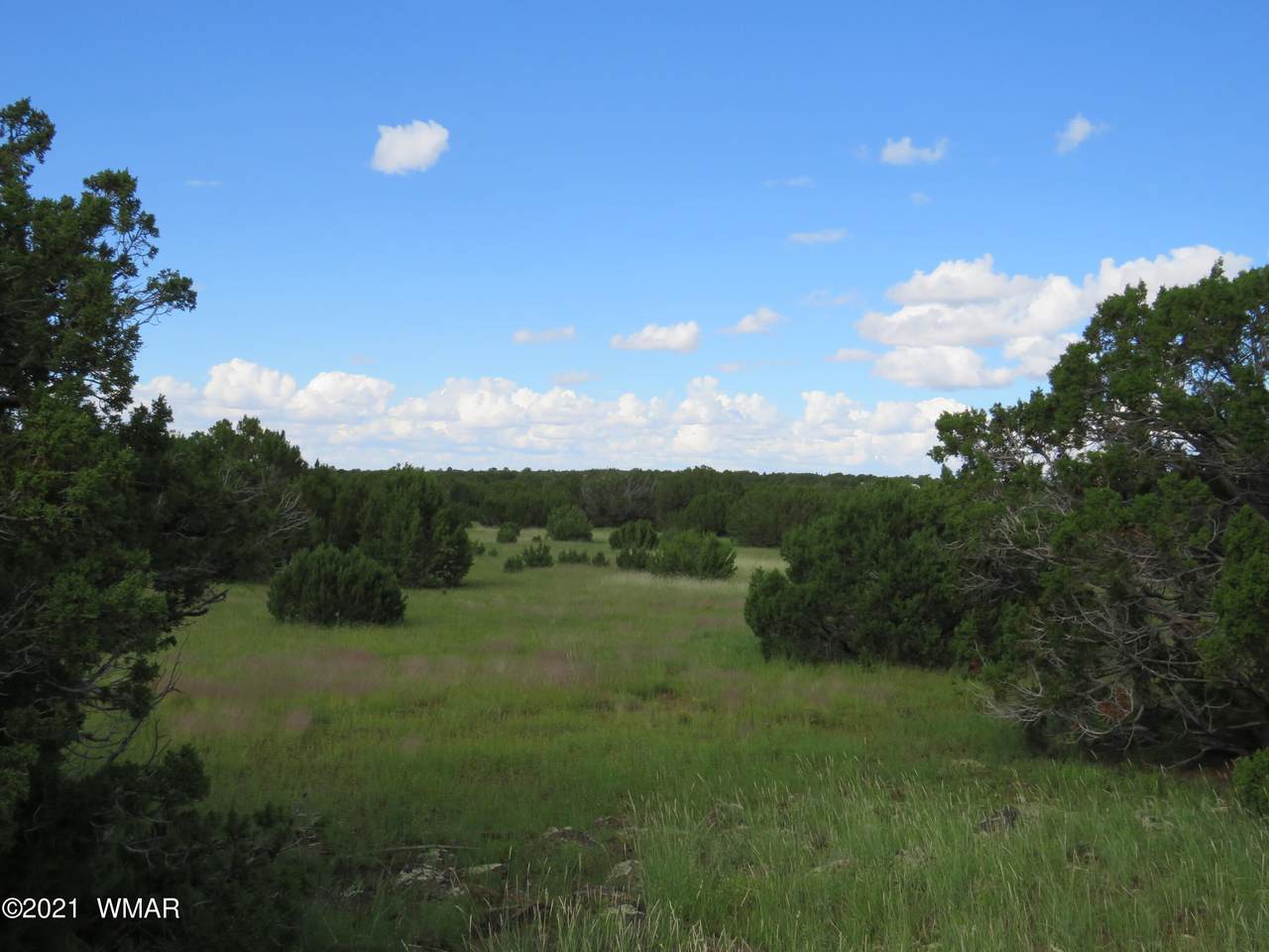 99 County Rd 8127 - Photo 1