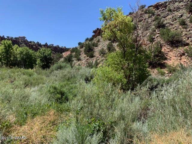 TBD N Mountain Highlands Boulevard - Photo 1