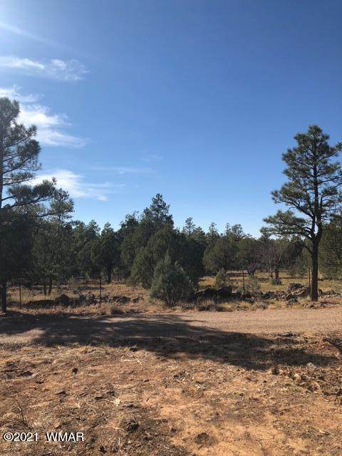 3420 Coyote Drive - Photo 1