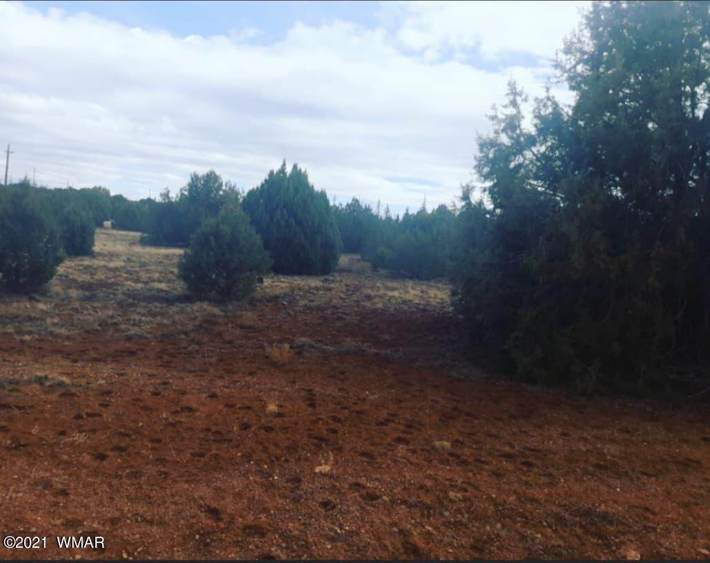 2206 Mazatzal Street - Photo 1