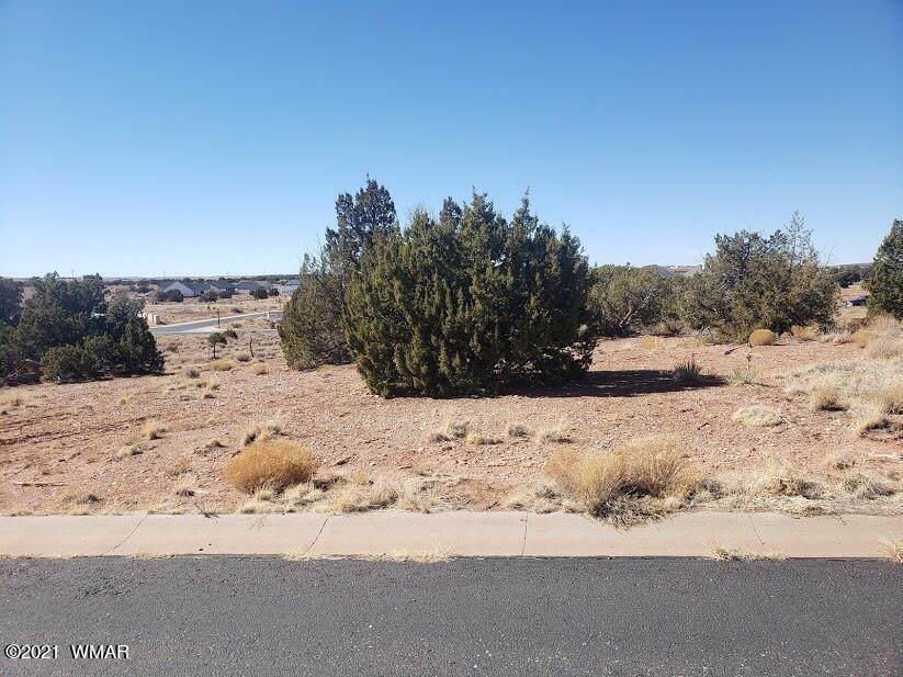 TBD Pioneer Trail Lot 161 - Photo 1