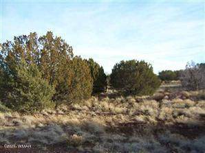 8445 Cochise Circle - Photo 1