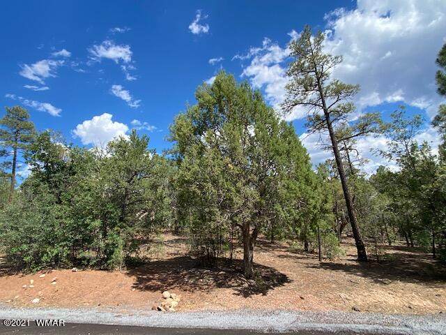 3511 Falling Leaf Road - Photo 1