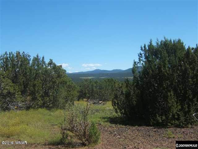 TBD Highway 60 - Photo 1