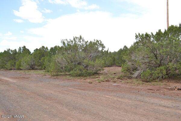 TBD Parcel 008P N3309 - Photo 1