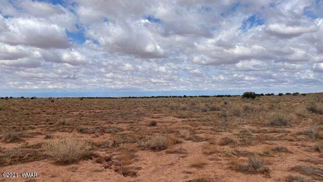 Lot 43 Snowflake Ranches - Photo 1