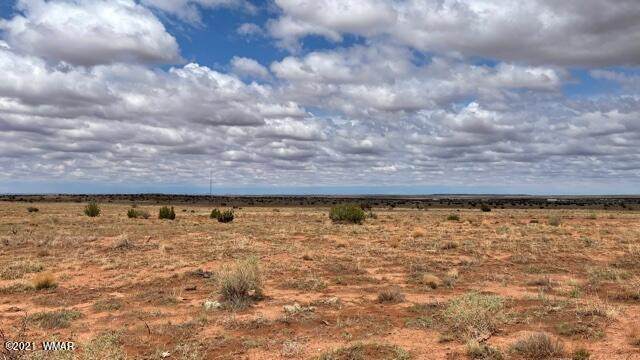 Lot 48 Snowflake Ranches - Photo 1