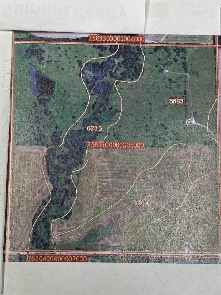 00000 Webb Road - Photo 1