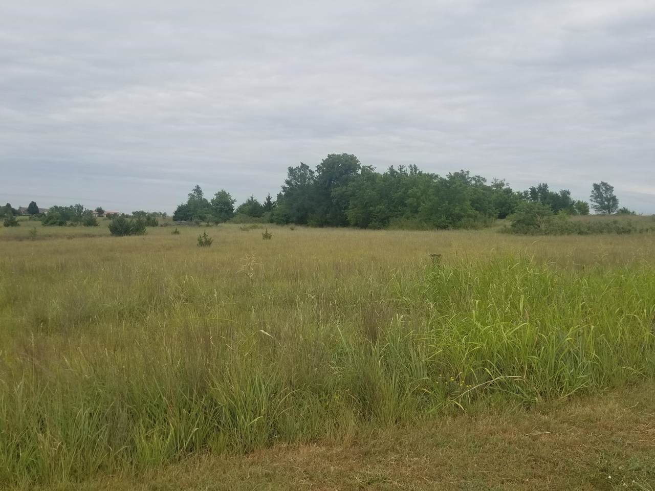 000 Deer Trail - Photo 1