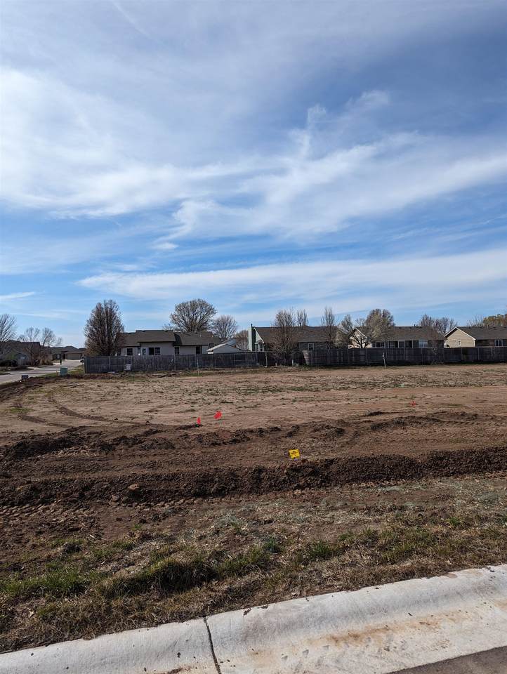 801 Cedar Downs Cir - Photo 1