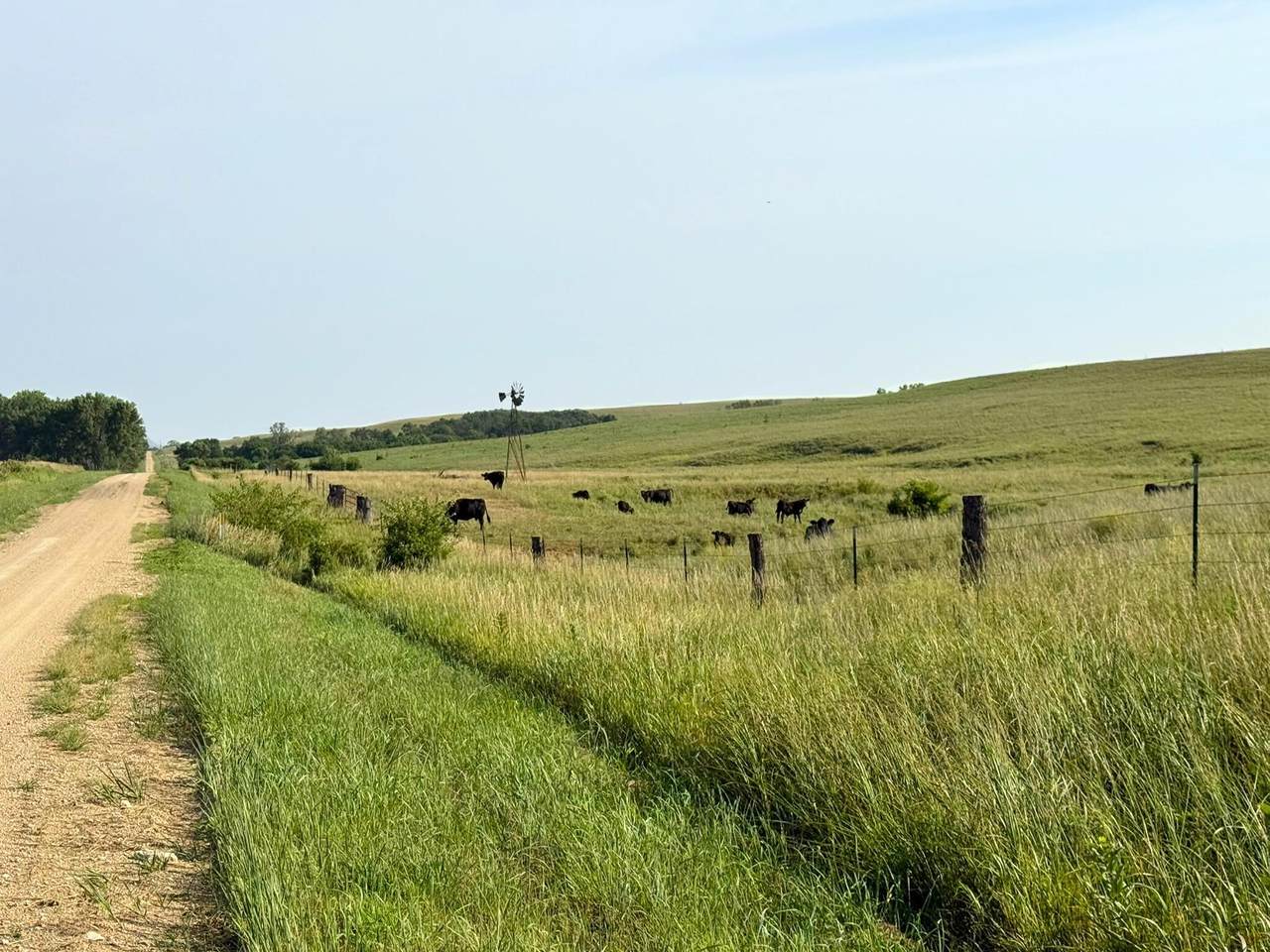 00000 20th Road - Photo 1